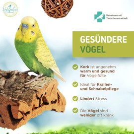 Vogelgaleria® Premium Cork Seat Board for Birds such as Budgies Cockatiel and Free Nibble Ball | A Cork Seat Board Should Be An Accessory in Any Species-Appropriately Equipped Cage | 20 x 10 cm Large