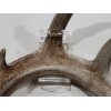 Acrylic Invisible Shed Antler Wall Mount Display