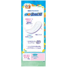 Jumbo Pack Charm-Napkins, Water Absorbent, For Small Amounts, No Wings, 1.0 fl oz (30 cc, 23 cm), 44 Count (Urine Absorbent Napkins)