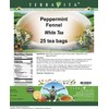 Peppermint Fennel White Tea (25 tea bags, ZIN: 542849)