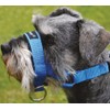 Dog Head Collar Halter Blue 5 Sizes (S: 6.5"-8.25" Snout)