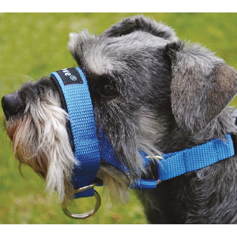 Dog Head Collar Halter Blue 5 Sizes (S: 6.5"-8.25" Snout)