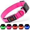 Illumifun LED Dog Collar | USB Rechargeable Light Up Dog