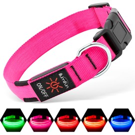 Illumifun LED Dog Collar | USB Rechargeable Light Up Dog Collar, Water-Resistant Adjustable Safety Collar Light for Small Medium Large Dogs Glow in The Dark (Pink, Small)