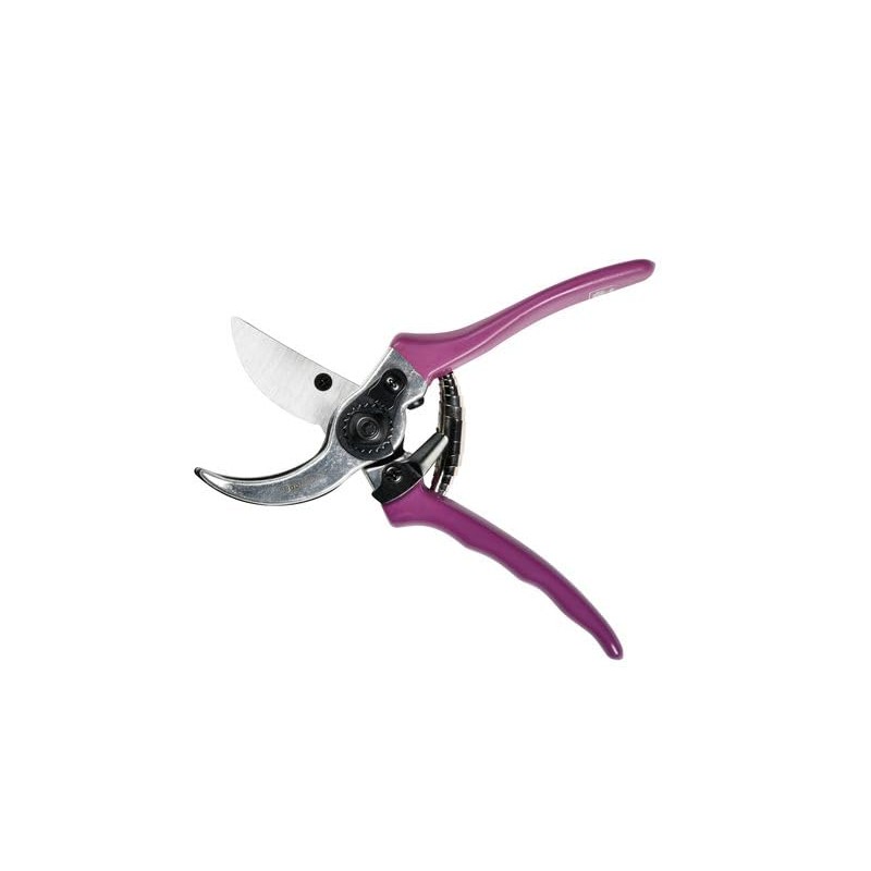 Burgon & Ball RHS Gift Secateurs Asteraceae