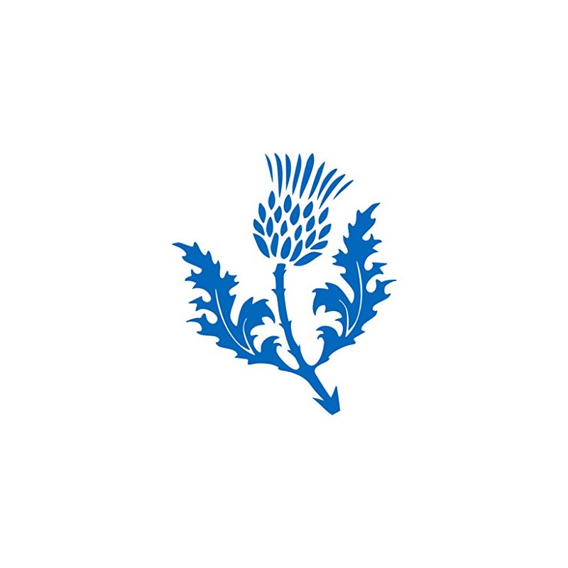 TENNER.LONDON Set of 5 Scottish Thistle Iron on Screen print