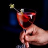 FL-WITHYOU Bees Cocktail Reusable Picks martini toothpicks metal toothpicks fancy