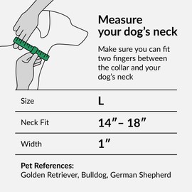CollarDirect Hundehalsband mit Blumenmuster, Nylon, Blumendruck, verstellbar, für Hunde, kleine, mittelgroße und große Welpen (Rosa Gänseblümchen, 35-45 cm)