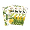 Michel Design Works Lemon Basil Cotton Cloth Dinner Napkins ~~