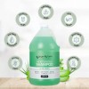 Ginger Lily Farms 1 Gallon Moisturizing Shampoo – Nourishing Formula,