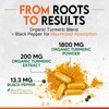 Turmeric Curcumin Supplement 2000mg - Nature's Joint & Immune Support,