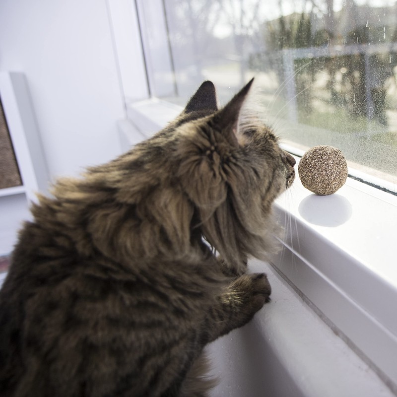 SmartyKat, Catnip Kiss, Cat Toy, Compressed Catnip Ball