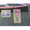 Evolution MX 1990 Kawasaki X2 Jet Ski Decal Set 6
