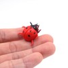 ANCLLO 50Pcs Ladybug Decorative Refrigerator Magnets Perfect Fridge Magnets for