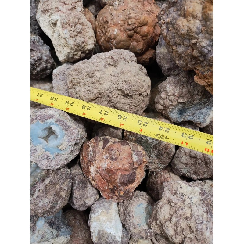 Thundereggs, Oregon, 4 Pound lot, As Found Uncut Rough, Agate