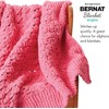 Bernat Blanket Brights 300g Neon Mix Yarn - 2 Pack