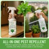 Minty Insect & Pest Control, Powerful & Natural 5% Peppermint