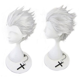 Heat-resistant kosupureuxiggu Castle In The ND Silver Fatestay Night 衛 vanishment 士郎 Archer Archer Events Wig + Bonus 2 Piece