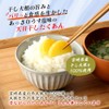[Michimoto Foods] Miyazaki Prefecture Takuan, Sun-bokko (Lightly Salted Flavor), Pack