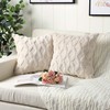 Haundry Pack of 2 Soft Plush Short Wool Velvet Decorative