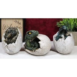 Ebros Gift Set of 3 Jurassic Era Predator Velociraptor and Tyrannosaurus Rex Dinosaurs Hatching Out of Eggs Figurines Hatchling Collectible Sculpture for Fossil Lovers Prehistoric Fans