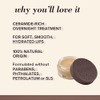 Burt's Bees Lip Care Easter Basket Stuffers, Moisturizing Overnight Intensive