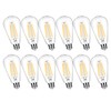 winsaLED 12 Pack 100 Watt Equivalent LED Edison Bulbs, 9W