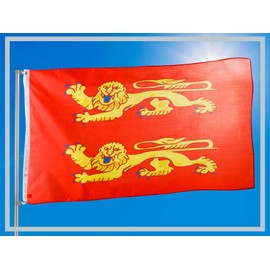 PHENO FLAGS Basse Normandy Flag - Basse Normandy Flag 90 x 150 cm with Brass Eyelets - Weatherproof Flag for Flagpole - 100% Polyester
