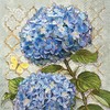 Celebrate the Home Floral 3-Ply Paper Luncheon Napkins, Blue Heirloom