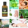 Oregano 100% Essential Aromatherapy Oil 50ml