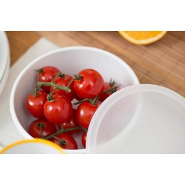 Mauviel Made In France M'Cook 5 Ply Stainless Steel 5222.24 9.5 inch Pasta Insert, Cast Stainless Steel Handle