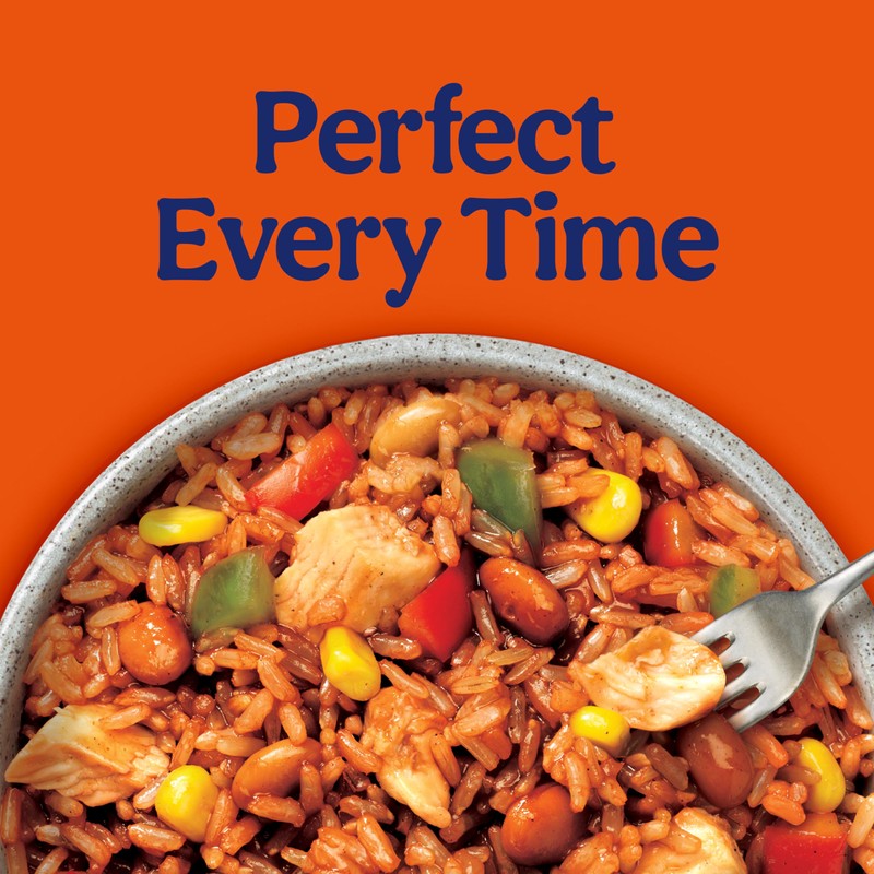 BEN'S ORIGINAL Street Food Honey BBQ Flavored Rice with Chicken,