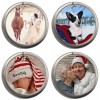 west elm Acrylic Round Picture Frame Christmas Ornament w/Magnetic Closure