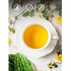TeeLux Bitter Melon Tea Bags, Pure & Natural Momordica Charantia,