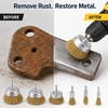 10 pcs Wire Brush Set for Drill Tool Accessory -