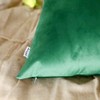 Artcest Set of 2, Cozy Solid Velvet Throw Pillow Case,
