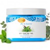 Spa Redi Ice Cooling Gel (16 oz - Mint &
