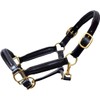 Aces Equine LEATHER HORSE HEADCOLLAR HALTER FULLY RAISED AND PADDED