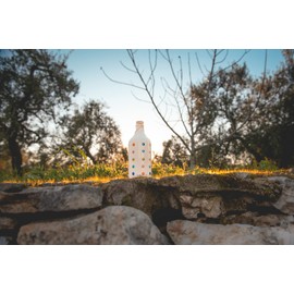 MURAGLIA ANTICO FRANTOIO Muraglia Extra Virgin Olive Oil Hand Painted Pois Bottle 500ml