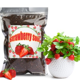 Doter Organic Strawberry Soil Mix 1qt, Indoor Plants Potting Mix for All Potted Strawberry, Grow Healthy houseplants Indoors