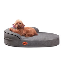 Laifug Memory Foam Oval Dog Bed (31x21x7Inches, Dark Gray), Orthopedic Dog Bed for Dogs with Durable Waterproof Liner & Removable Washable Cover & Nonskid Bottom