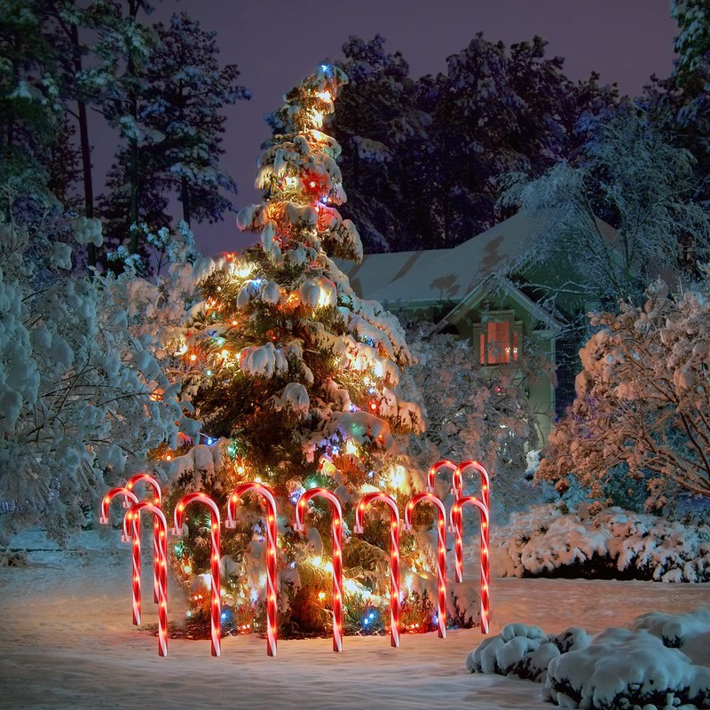 GAGALIFE 16-inch Candy Cane Lights, Outdoor Christmas Pathway Markers, 12