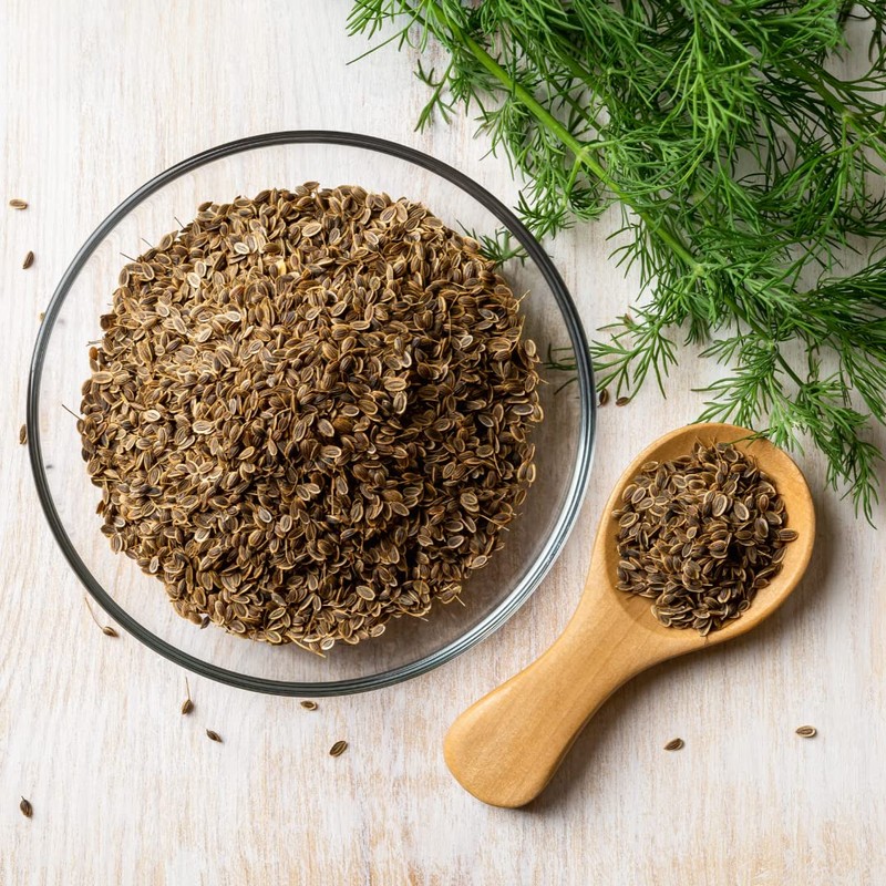 Dill seeds (500g, 1.1 lb), 100% natural dill seeds, cucumber,