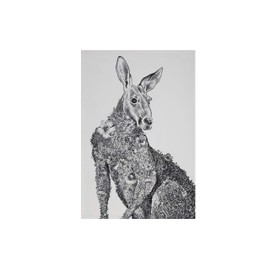 Maxwell & Williams Marini Ferlazzo Tea Towel with Kangaroo Animal Design, 100% Indian Cotton, White, 50 x 70 cm