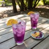 TRUE LEMON KIDS Groovy Grape (10 Packets) for Hydration -