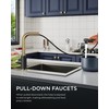 FORIOUS Kitchen Faucets with Pull Down Sprayer, Stainless Steel Single