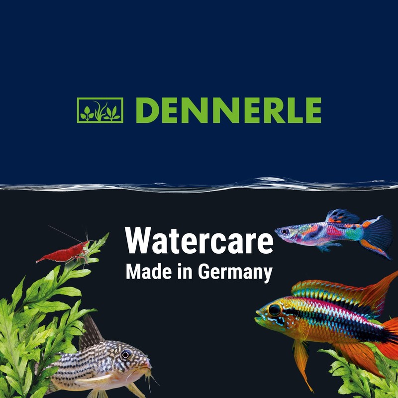 Dennerle Humin Elixier