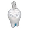 Old World Christmas Tooth Ornament, Multi