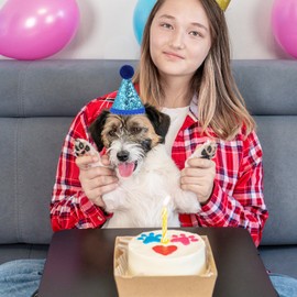 Dog Birthday Hat, 4 PCS Mini Party Hats for Stuffed Animals Colorful Cat Birthday Hat Adjustable Dog Party Hat Glitter Cat Party Hat Cute Dog Birthday Party Hat for Dogs Cats Party Decoration Supplies