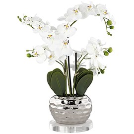 Dahlia Studios Potted Faux Artificial Flowers Realistic White Orchid in Silver Ceramic Pot with Acrylic Round Riser for Home Decor Living Room Office Bedroom Bathroom Kitchen Dining 23" High